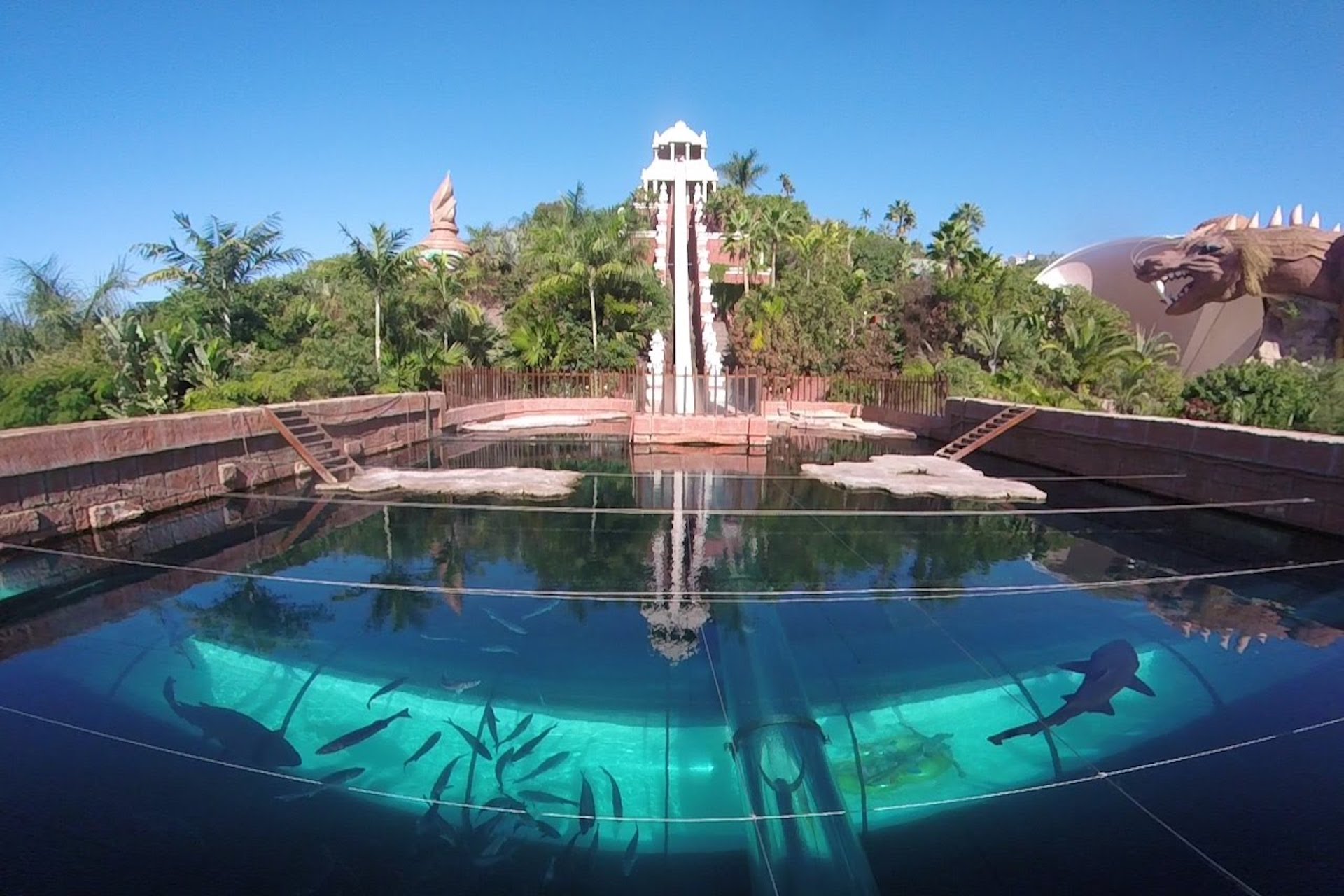 All About Tenerife Things To Do In Tenerife Most Popular Attractions In Tenerife39 All About Tenerife Things To Do In Tenerife Most Popular Attractions In Tenerife