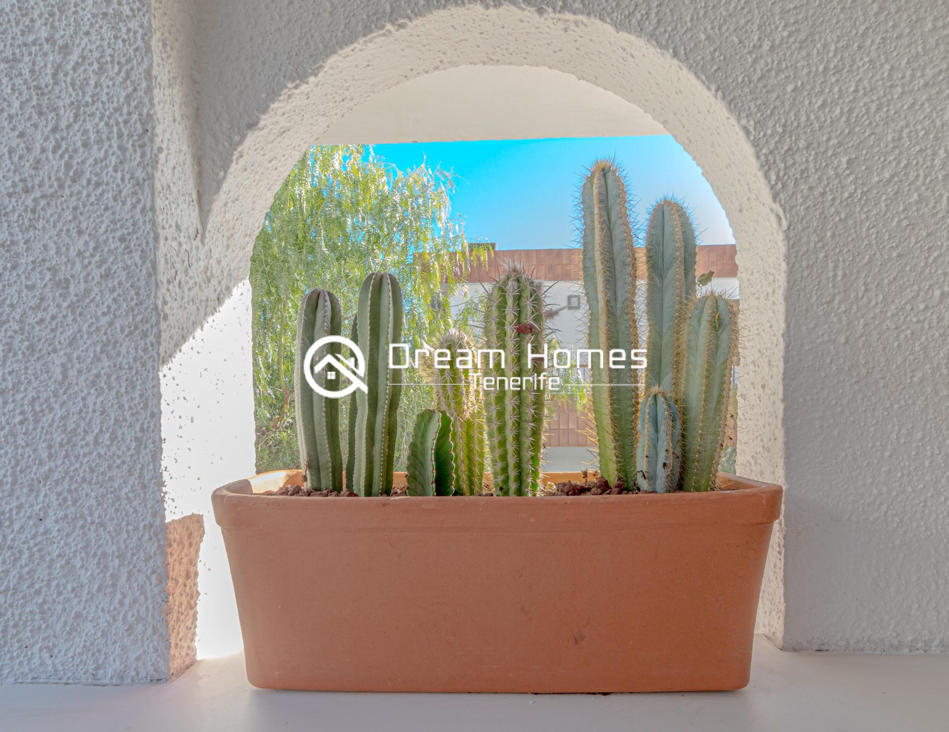Blue Horizon by Dream Homes Tenerife Terrace Real Estate Dream Homes Tenerife