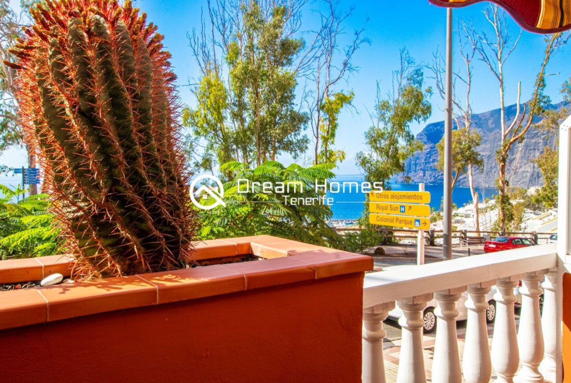Breathtaking 1-Bedroom Apartment in Los Gigantes Terrace Real Estate Dream Homes Tenerife